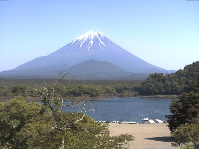 精進湖からの富士山