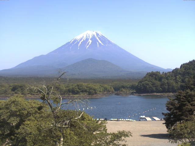 精進湖からの富士山