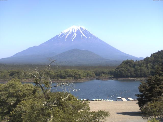 精進湖からの富士山