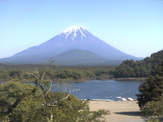 精進湖からの富士山