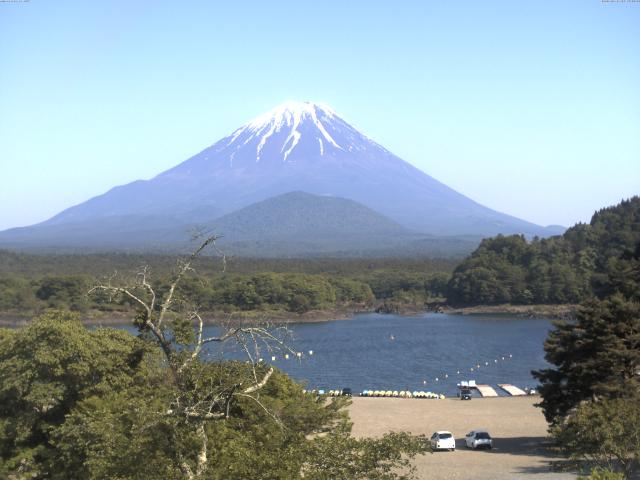 精進湖からの富士山