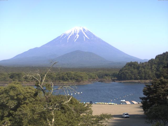 精進湖からの富士山