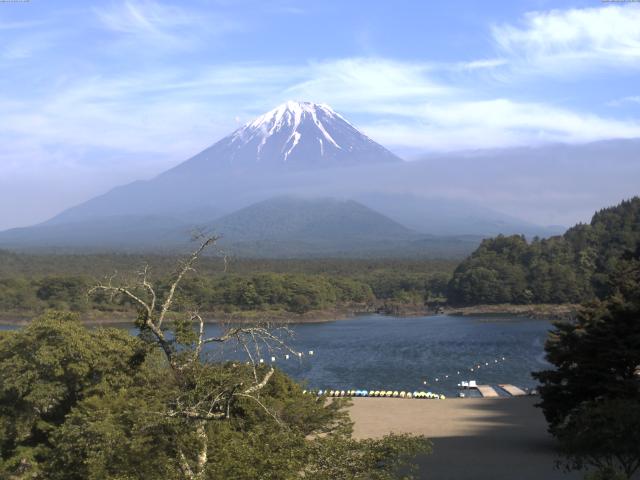 精進湖からの富士山
