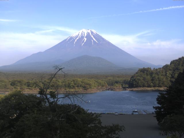 精進湖からの富士山