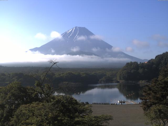 精進湖からの富士山