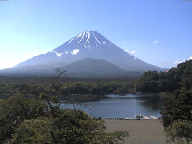 精進湖からの富士山