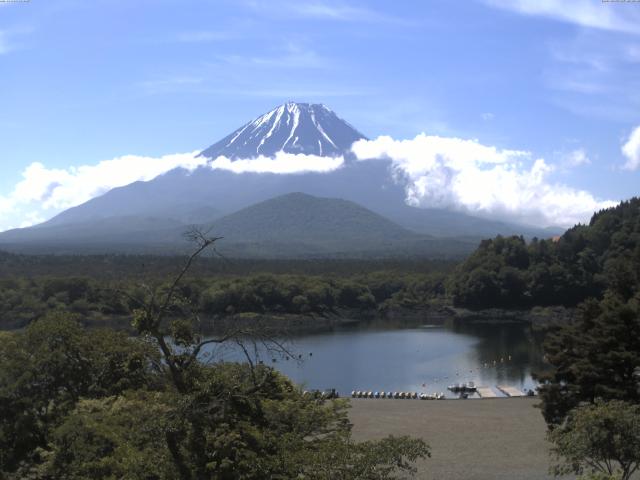 精進湖からの富士山