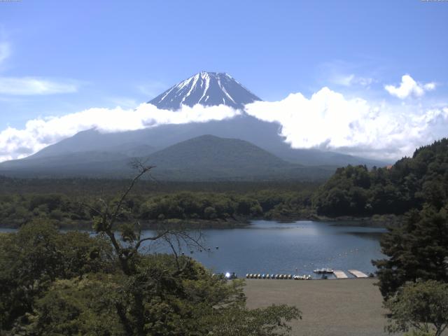 精進湖からの富士山