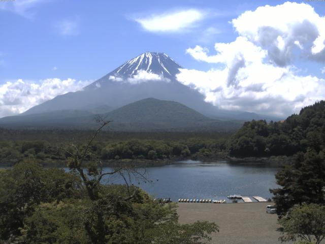 精進湖からの富士山
