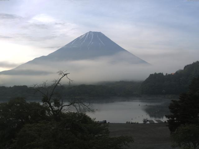 精進湖からの富士山