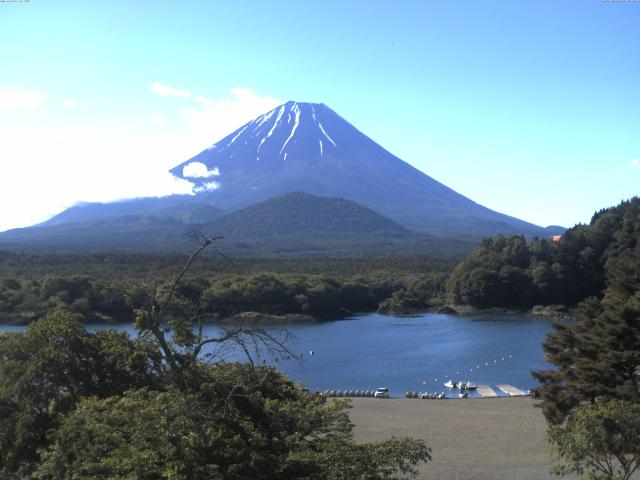 精進湖からの富士山