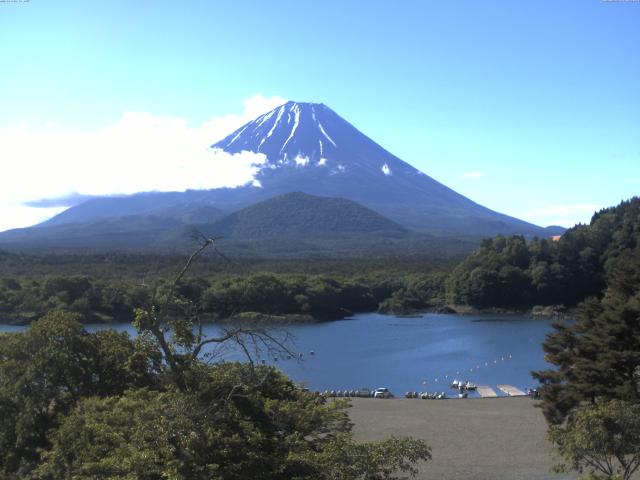 精進湖からの富士山