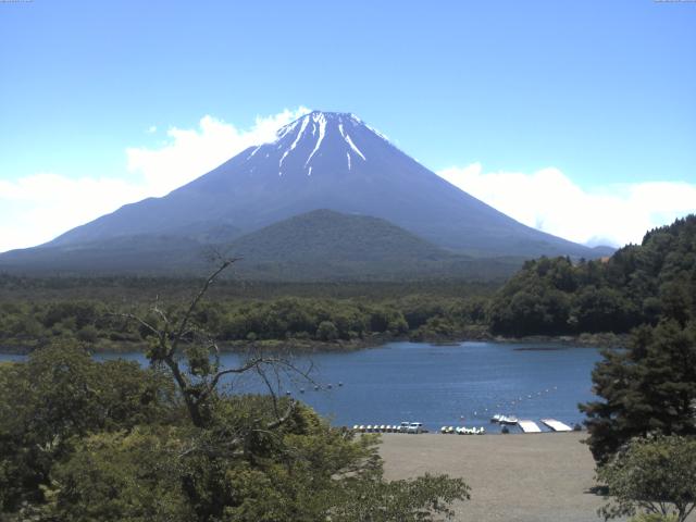 精進湖からの富士山