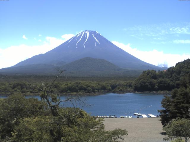 精進湖からの富士山