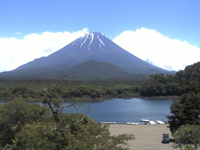 精進湖からの富士山