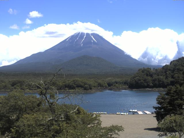 精進湖からの富士山