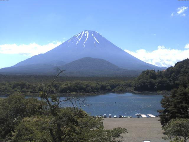 精進湖からの富士山
