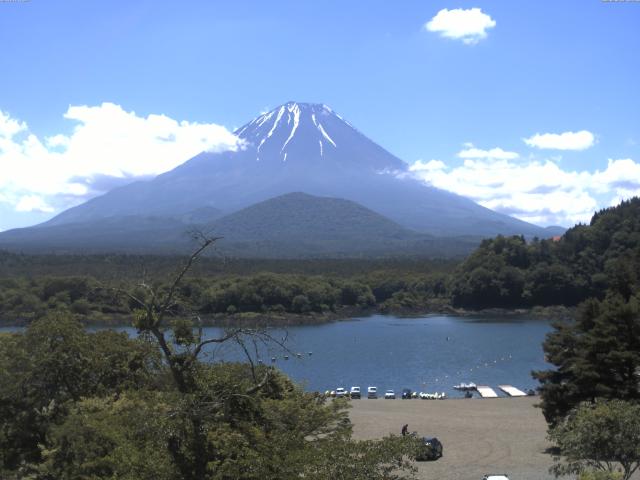精進湖からの富士山
