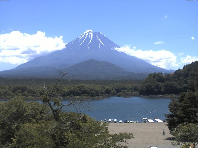 精進湖からの富士山