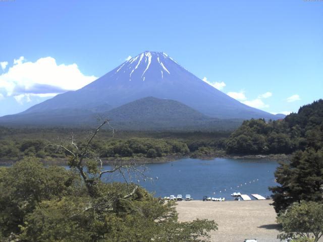 精進湖からの富士山