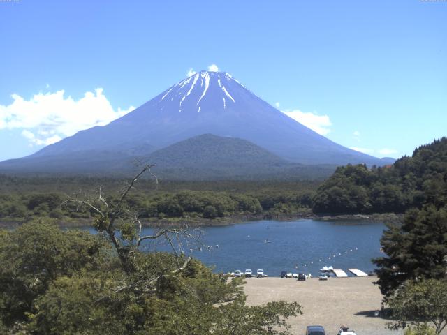 精進湖からの富士山