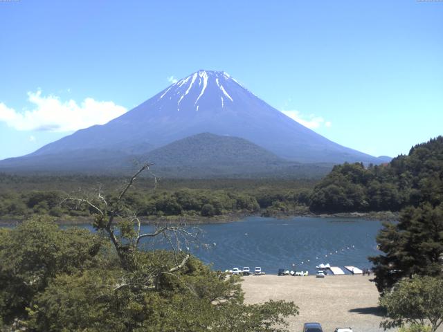 精進湖からの富士山