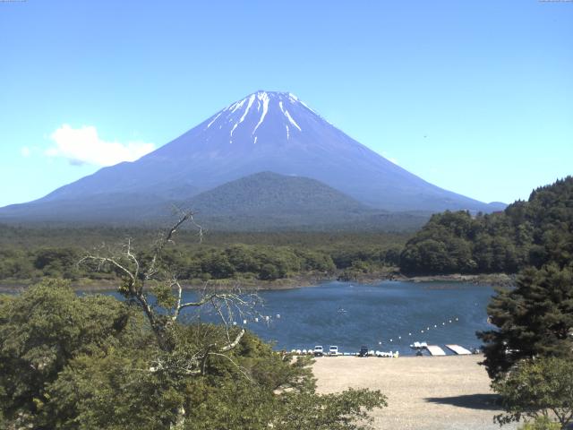 精進湖からの富士山