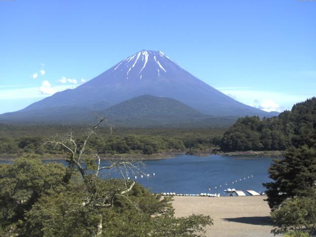 精進湖からの富士山