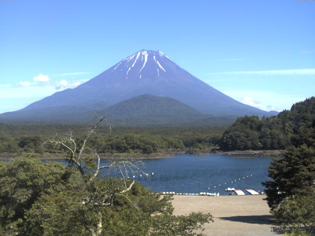 精進湖からの富士山