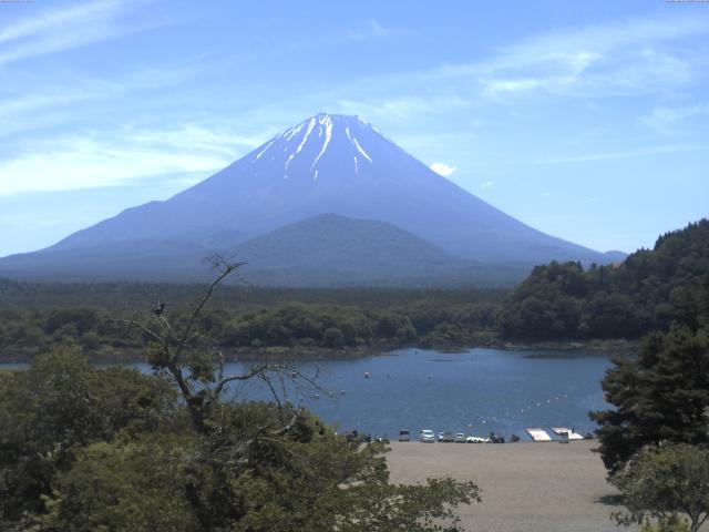 精進湖からの富士山