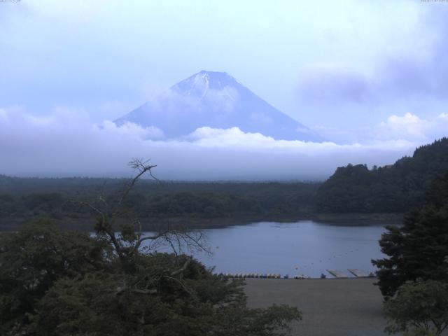 精進湖からの富士山