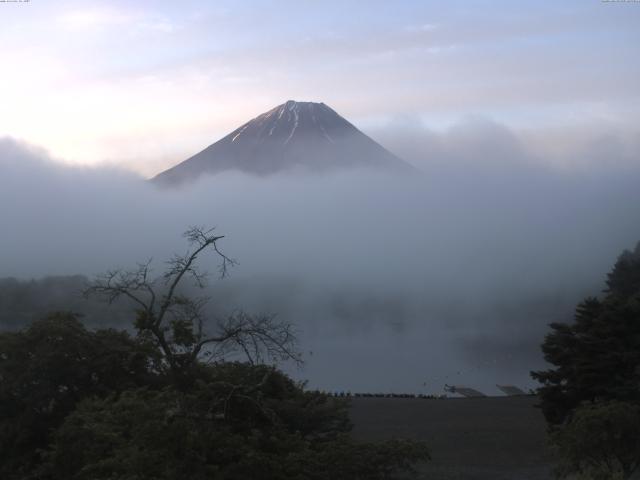 精進湖からの富士山