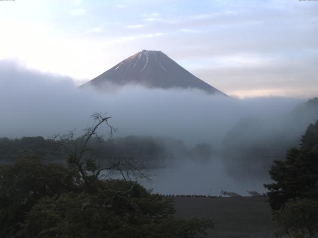精進湖からの富士山