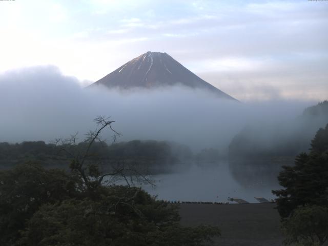 精進湖からの富士山