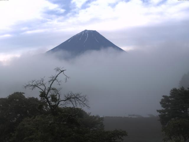 精進湖からの富士山