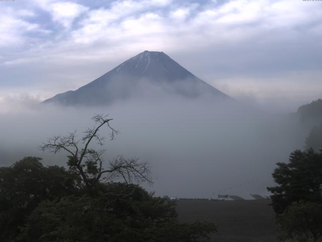 精進湖からの富士山