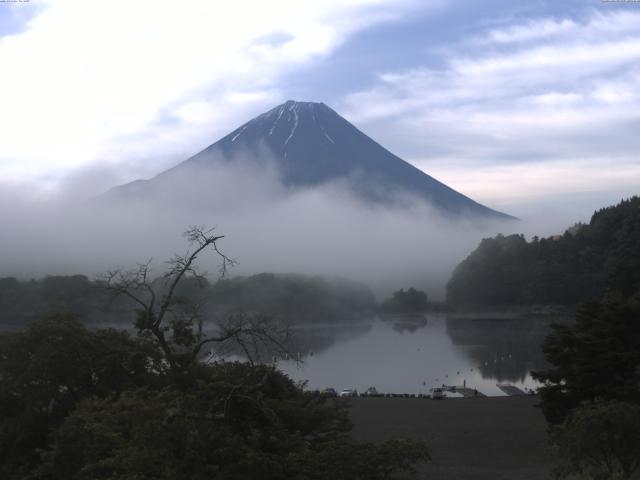 精進湖からの富士山