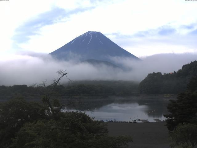 精進湖からの富士山