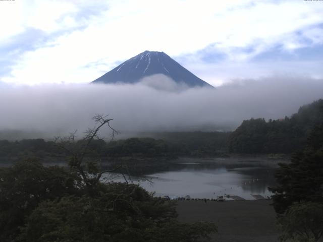精進湖からの富士山
