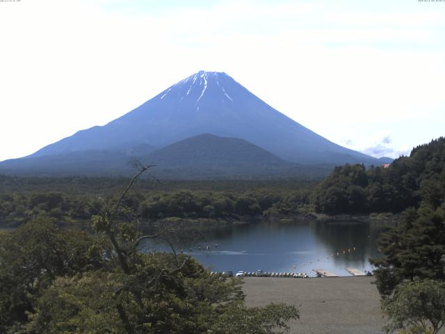 精進湖からの富士山
