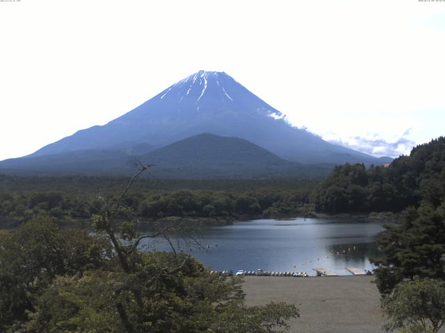 精進湖からの富士山