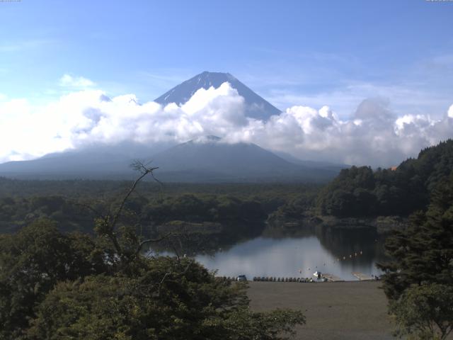 精進湖からの富士山