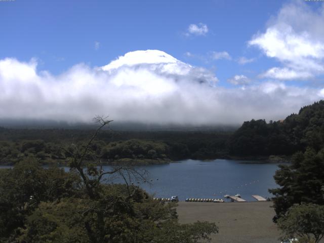 精進湖からの富士山