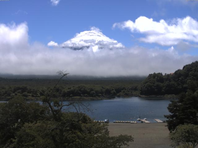 精進湖からの富士山