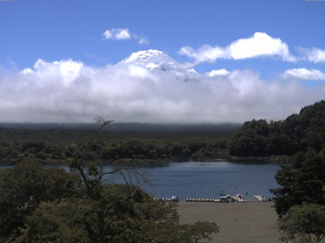 精進湖からの富士山