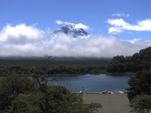 精進湖からの富士山