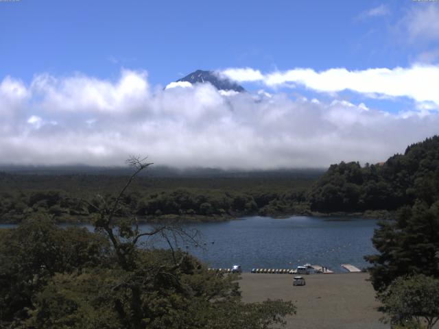 精進湖からの富士山