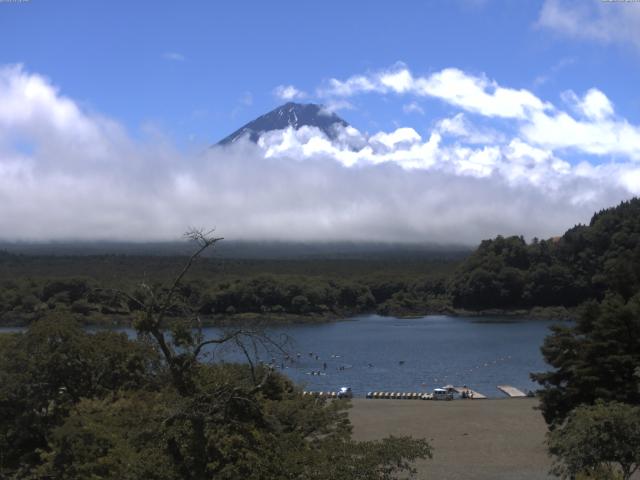 精進湖からの富士山