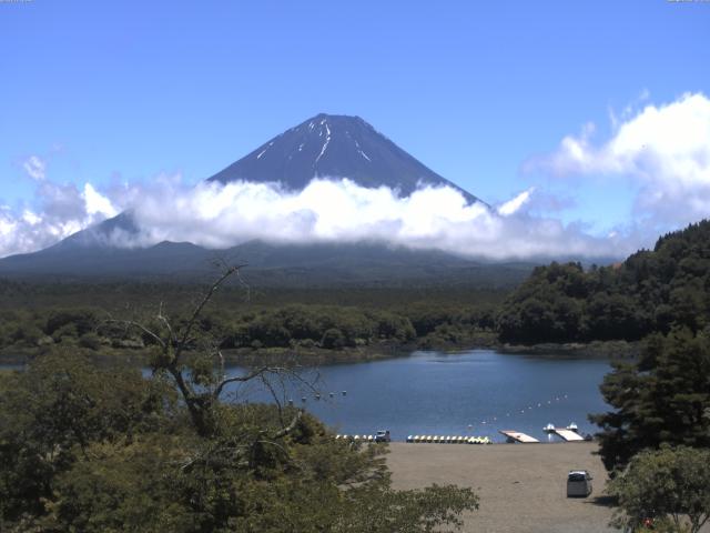 精進湖からの富士山