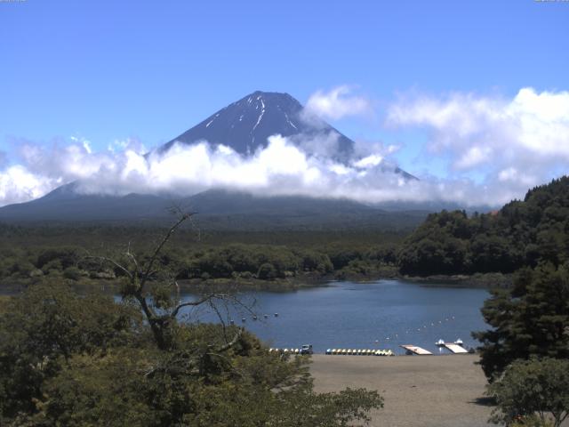 精進湖からの富士山